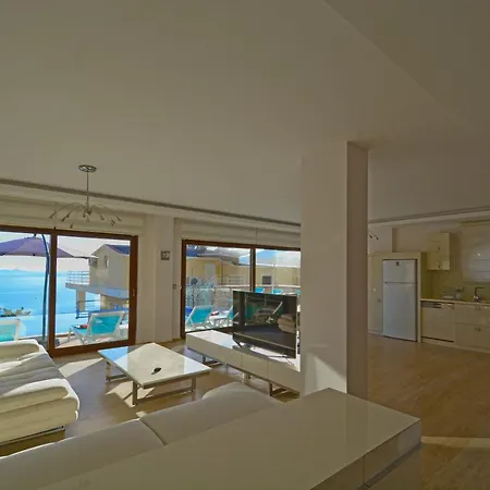 Vega * Kalkan